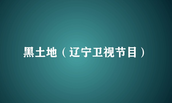 黑土地（辽宁卫视节目）