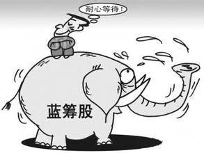 低估值蓝筹股