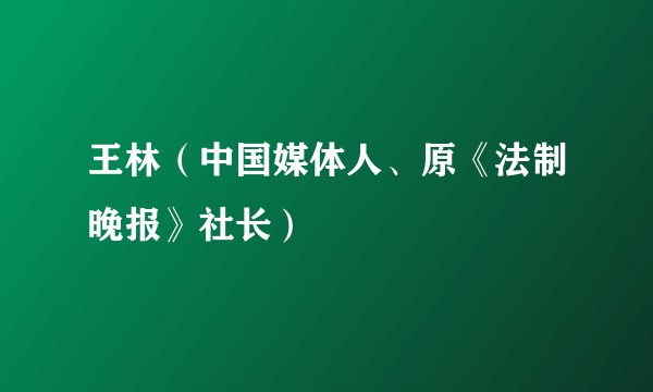 王林（中国媒体人、原《法制晚报》社长）
