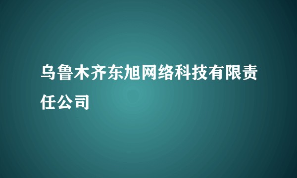 乌鲁木齐东旭网络科技有限责任公司