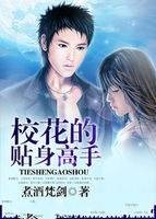 校花的贴身高手（煮酒梵剑创作的都市娱乐小说）