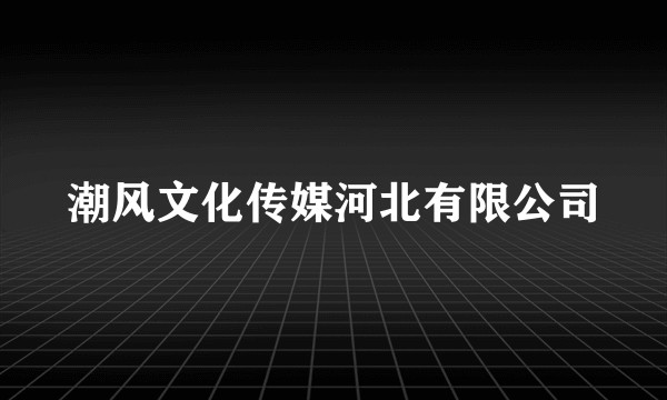 潮风文化传媒河北有限公司