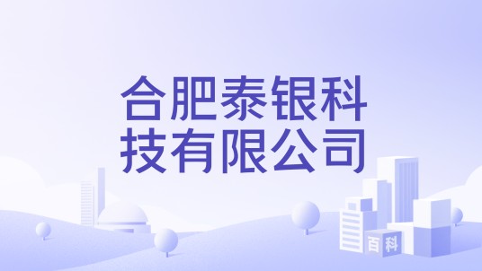 合肥泰银科技有限公司