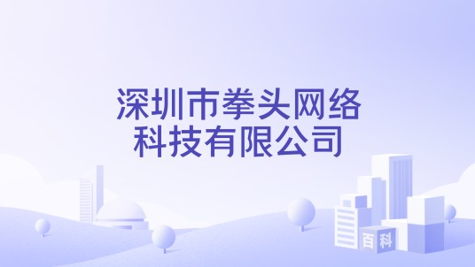 深圳市拳头网络科技有限公司