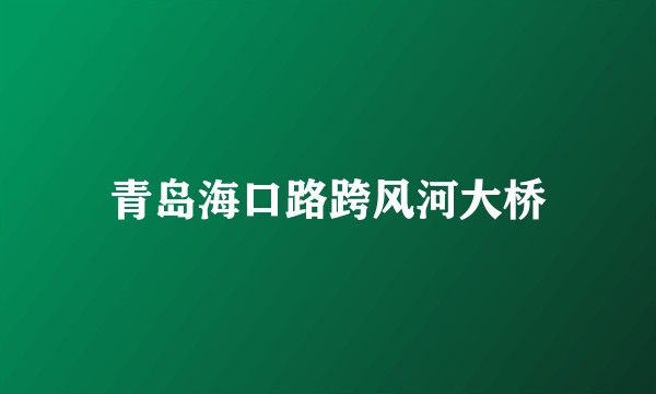 青岛海口路跨风河大桥
