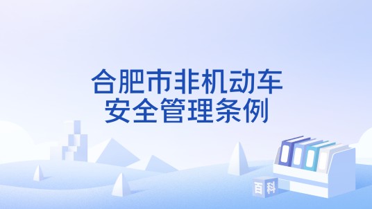 合肥市非机动车安全管理条例