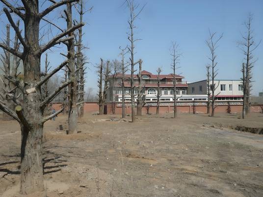 大宁影视基地