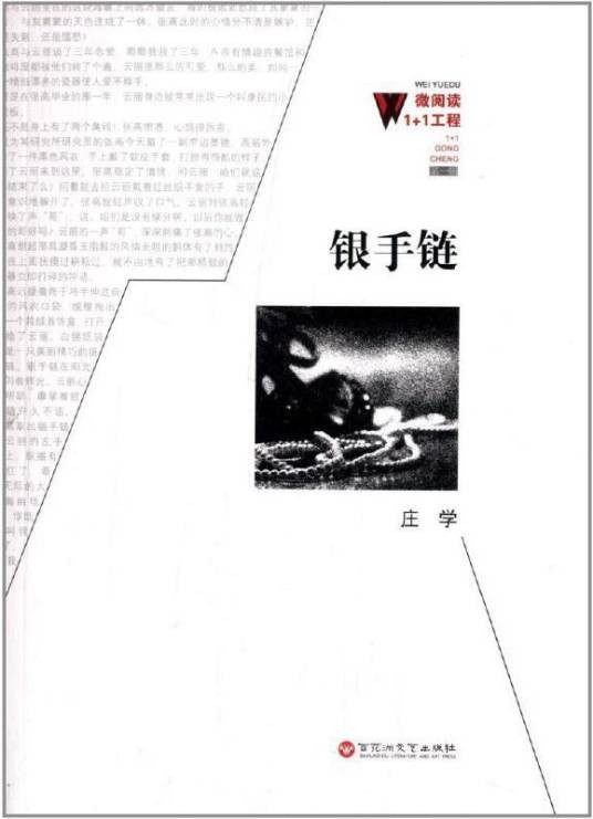 银手链（2013年百花洲文艺出版社出版的图书）