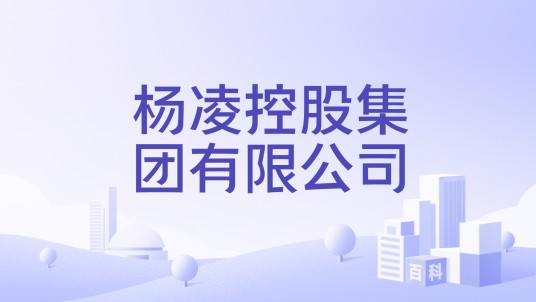 杨凌控股集团有限公司