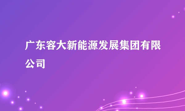 广东容大新能源发展集团有限公司