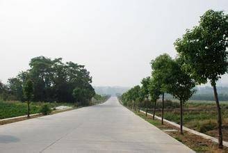鹤城镇（广东省江门市鹤山市辖镇）