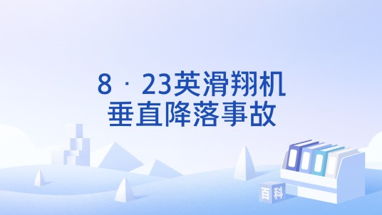 8·23英滑翔机垂直降落事故