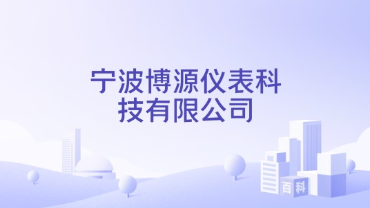 宁波博源仪表科技有限公司