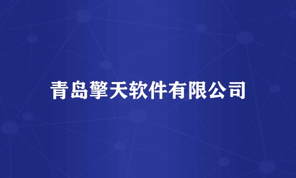 青岛擎天软件有限公司