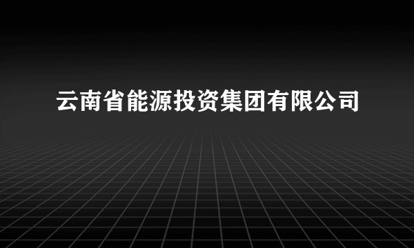云南省能源投资集团有限公司