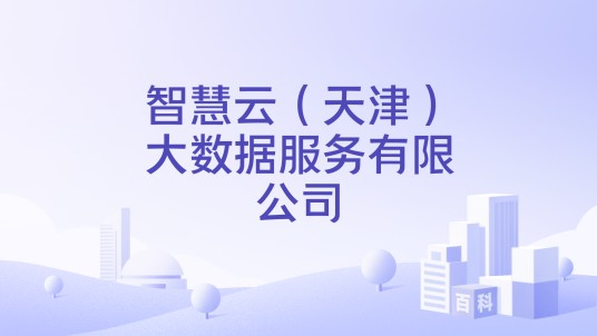 智慧云（天津）大数据服务有限公司