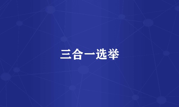 三合一选举