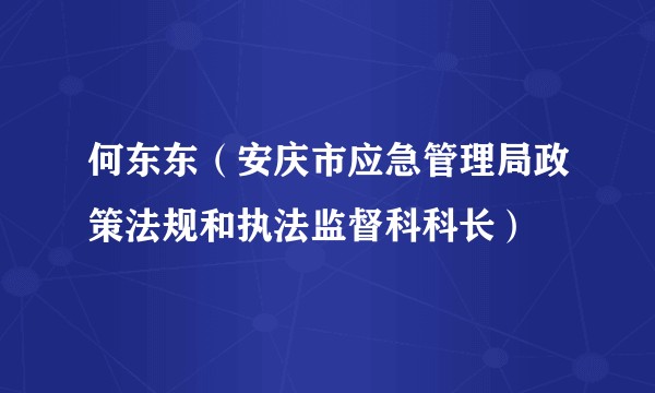 何东东（安庆市应急管理局政策法规和执法监督科科长）