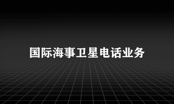 国际海事卫星电话业务