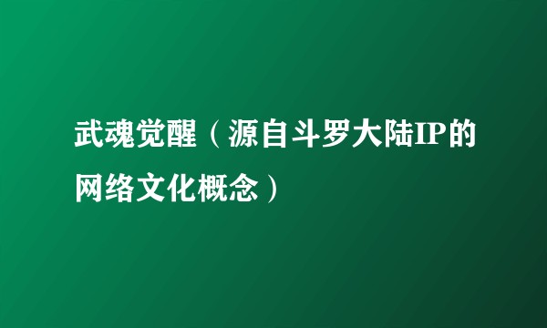 武魂觉醒（源自斗罗大陆IP的网络文化概念）