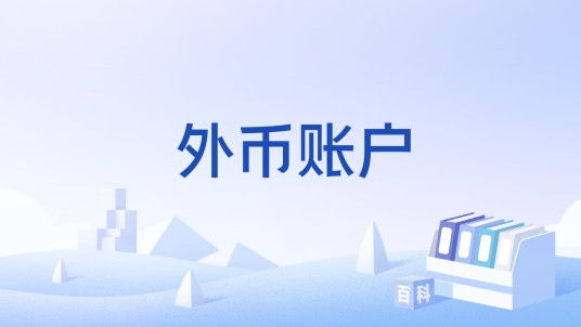 外币账户
