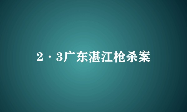 2·3广东湛江枪杀案