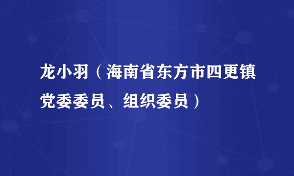 龙小羽（海南省东方市四更镇党委委员、组织委员）