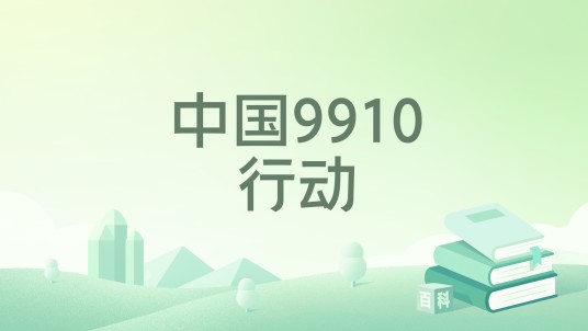 中国9910行动