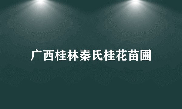 广西桂林秦氏桂花苗圃