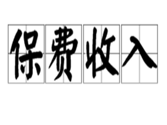 保费收入