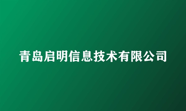 青岛启明信息技术有限公司