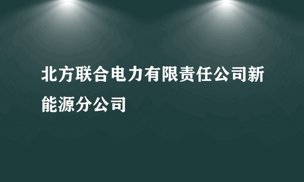 北方联合电力有限责任公司新能源分公司