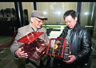 陈传发（河南省信阳市固始县赵岗乡人）
