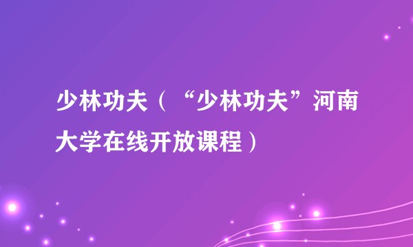 少林功夫（“少林功夫”河南大学在线开放课程）
