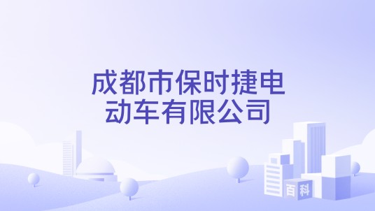 成都市保时捷电动车有限公司