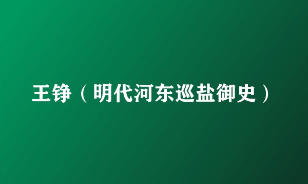王铮（明代河东巡盐御史）
