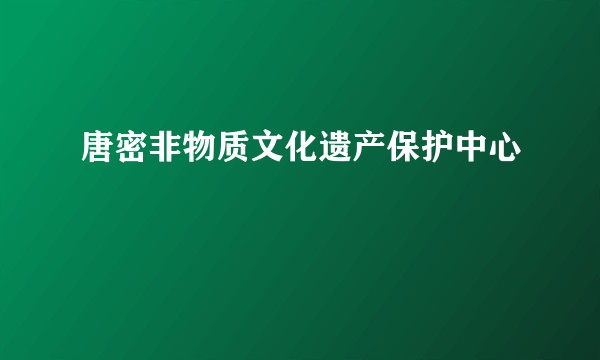 唐密非物质文化遗产保护中心
