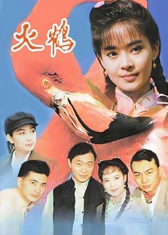 火鹤（1994年王晓海、王一玫执导的电视剧）