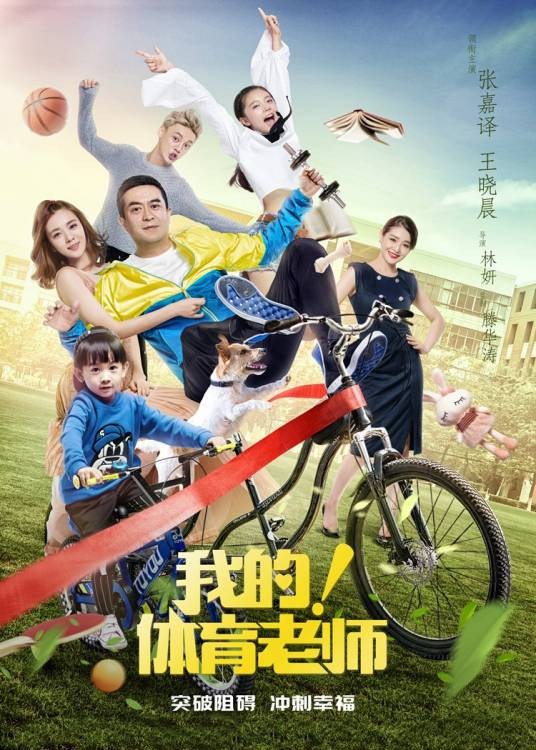 我的!体育老师(2017年林妍执导的都市爱情电视剧)