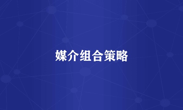 媒介组合策略