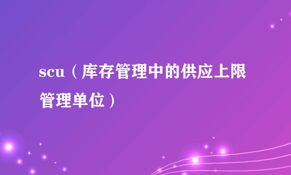 scu（库存管理中的供应上限管理单位）