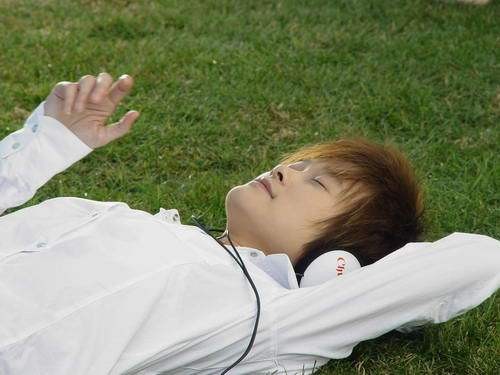 loving（2006年李宇春专辑）