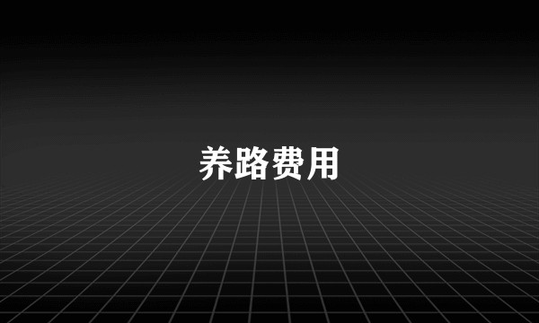 养路费用