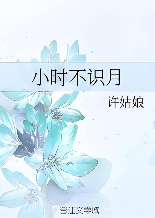 小时不识月
