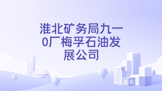 淮北矿务局九一0厂梅孚石油发展公司