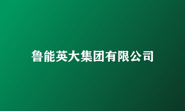 鲁能英大集团有限公司