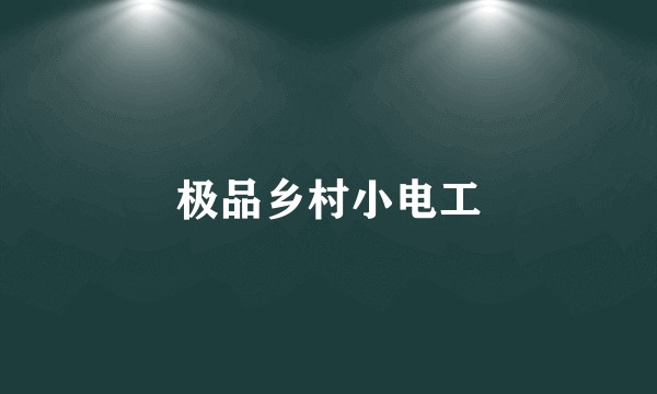 极品乡村小电工