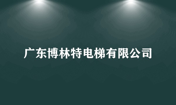 广东博林特电梯有限公司