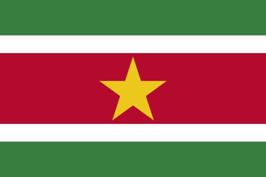 苏里南共和国国旗