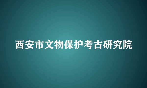 西安市文物保护考古研究院
